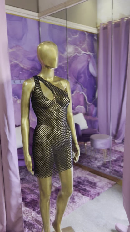 Net Dress