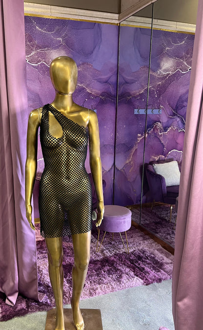 Net Dress